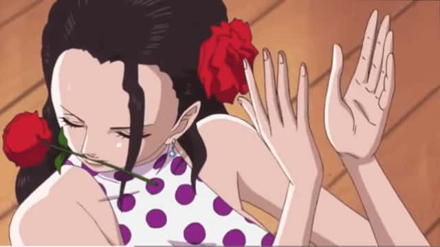 视觉数据5